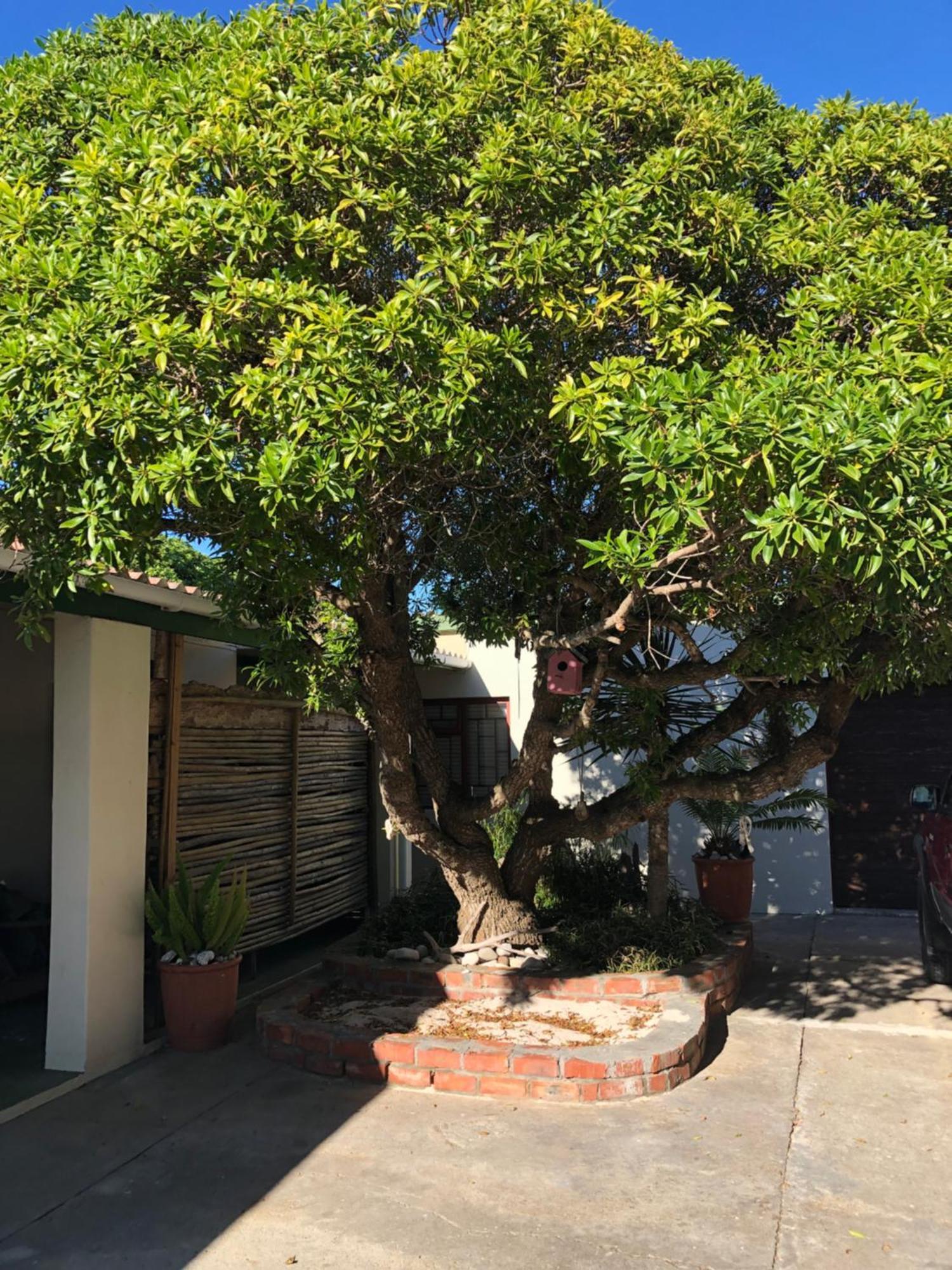 Old Cape Last Trading Post Struisbaai Exterior foto